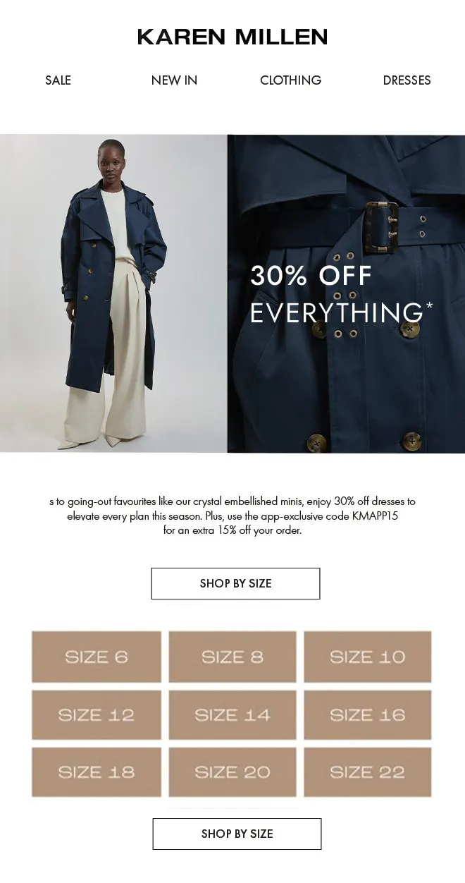30% off everything email