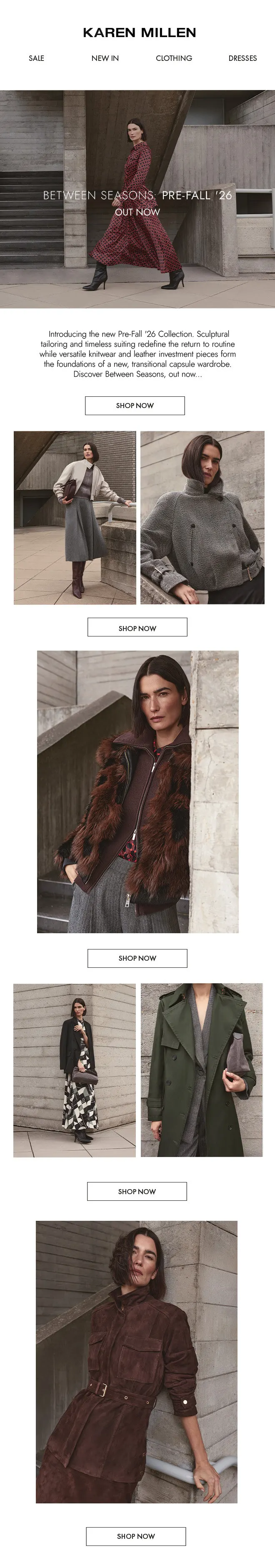 Pre-Fall launch email
